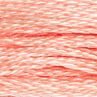 DMC Moulinégarn Färg 0754