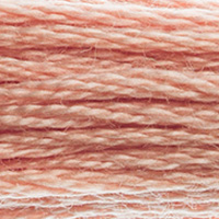 DMC Moulinégarn Färg 0758