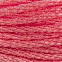 DMC Moulinégarn Färg 0760