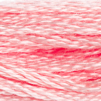 DMC Moulinégarn Färg 0761