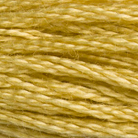 DMC Moulinégarn Färg 0834