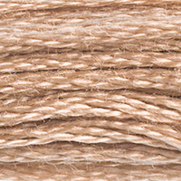 DMC Moulinégarn Färg 0841