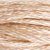 DMC Moulinégarn Färg 0842