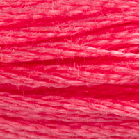 DMC Moulinégarn Färg 0893