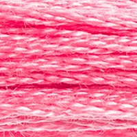 DMC Moulinégarn Färg 0899