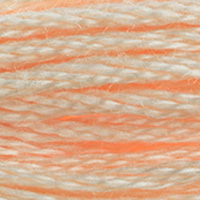 DMC Moulinégarn Färg 0951