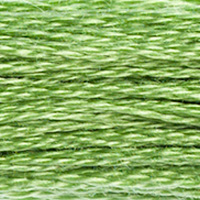 DMC Moulinégarn Färg 0989