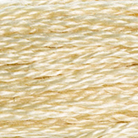 DMC Moulinégarn Färg 3047