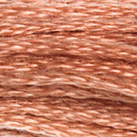 DMC Moulinégarn Färg 3064