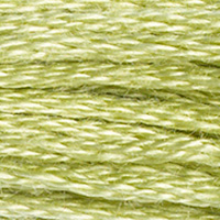 DMC Moulinégarn Färg 3348