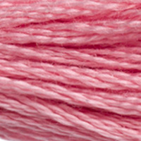 DMC Moulinégarn Färg 3354