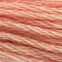 DMC Moulinégarn Färg 3771