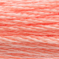 DMC Moulinégarn Färg 3824