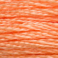 DMC Moulinégarn Färg 3825