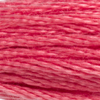 DMC Moulinégarn Färg 3833