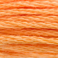 DMC Moulinégarn Färg 3854