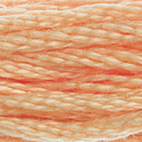 DMC Moulinégarn Färg 3856