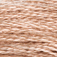 DMC Moulinégarn Färg 3864