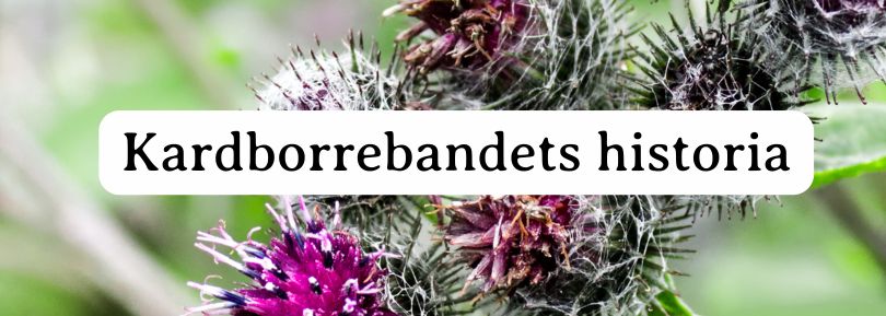 Kardborrebandets historia – från naturens inspiration till sömnadsentusiasternas favorit