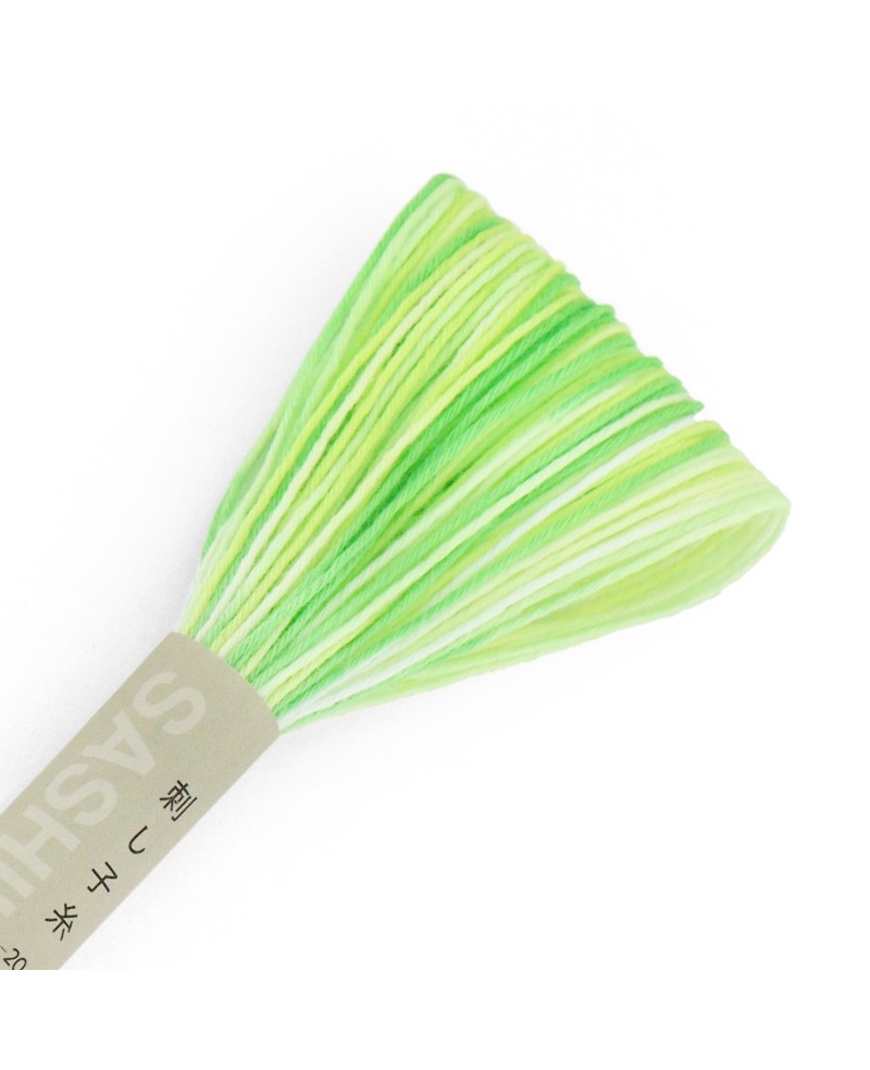 Sashikotråd 20m Variegated Lime