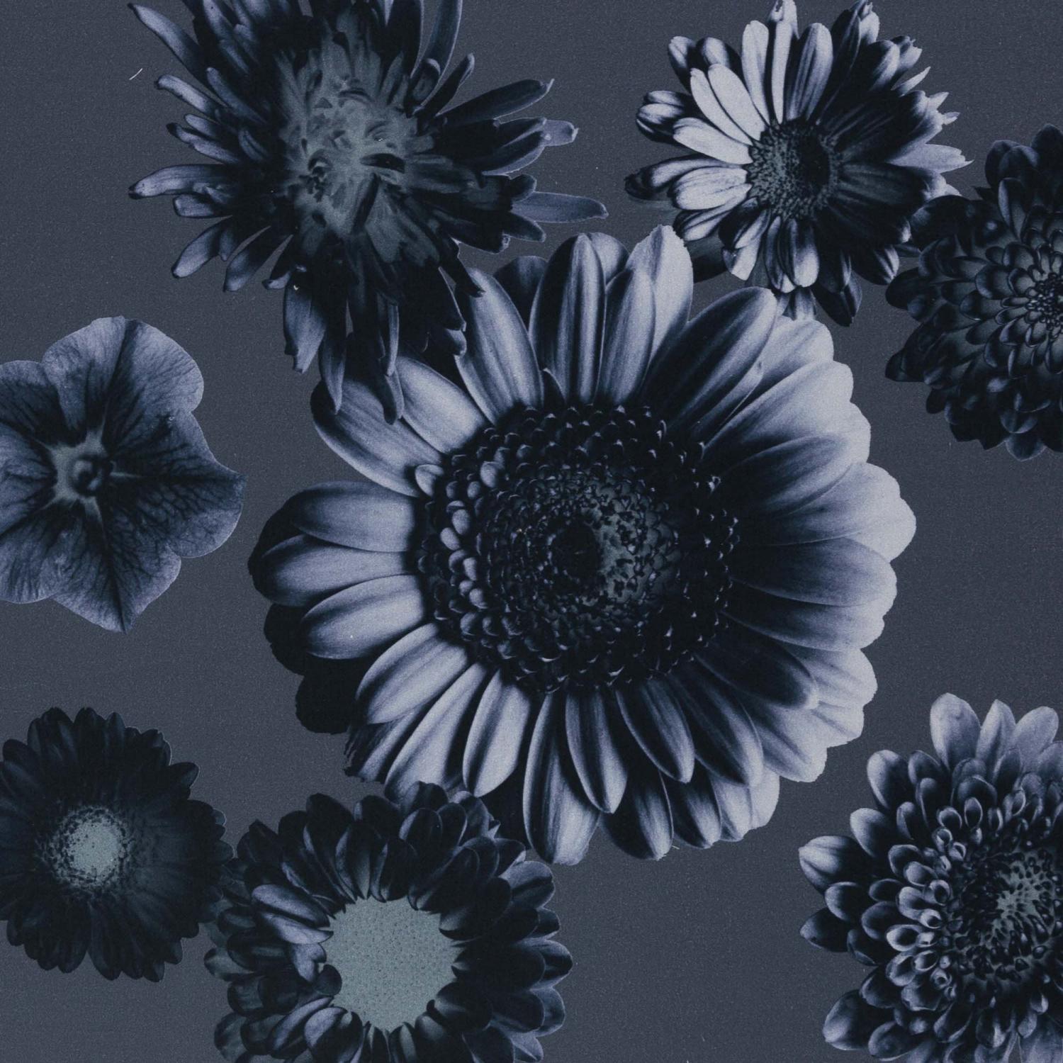 Blommor med blågrå botten