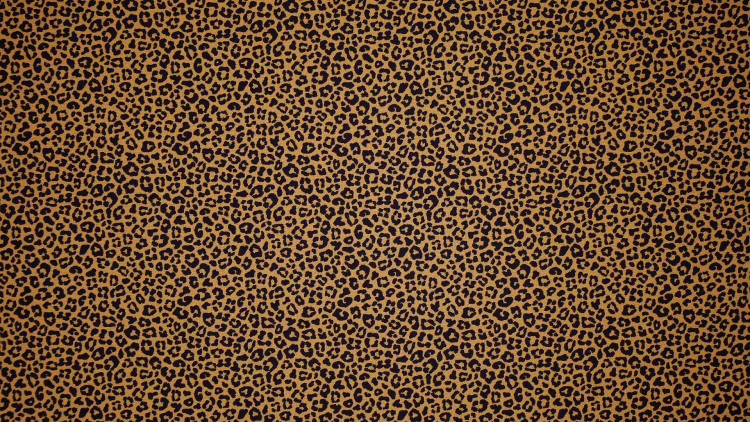 Lejongul leopard