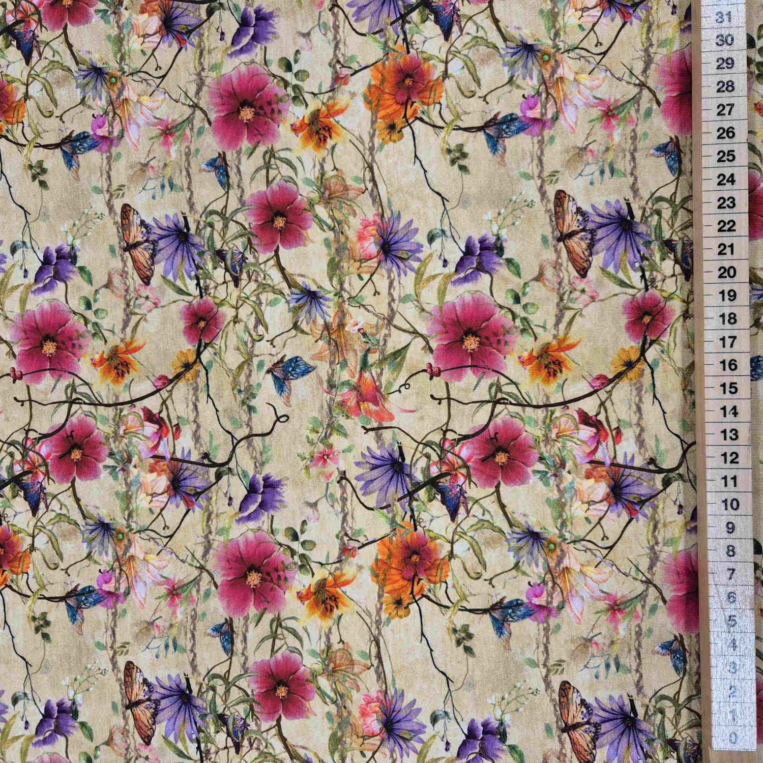 French terry Sommaräng