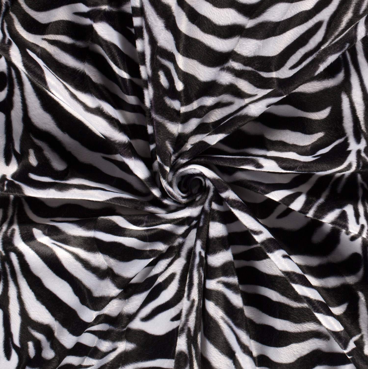Velbour Zebra