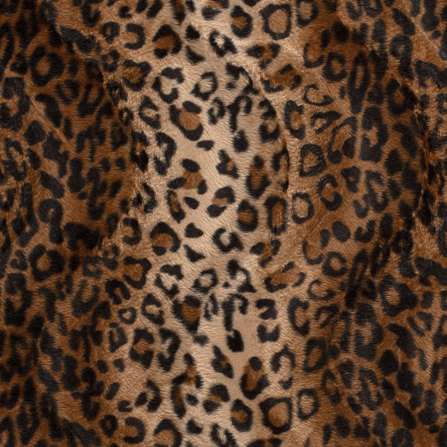 Velbour Leopard
