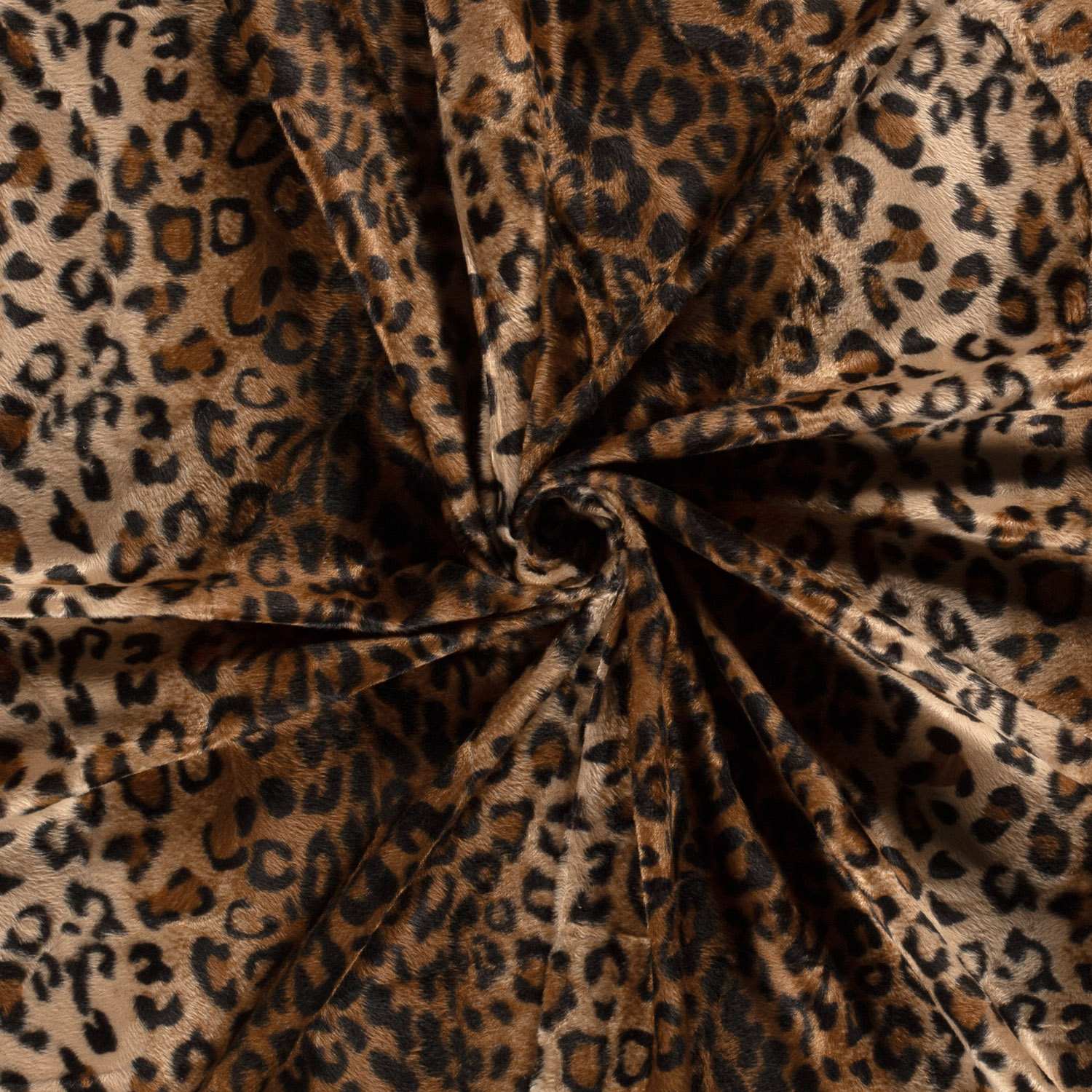 Velbour Leopard