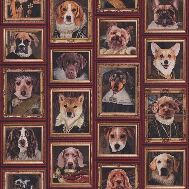 Halvpanama - Dogs Golden Age