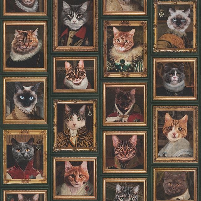 Halvpanama - Cats Golden Age