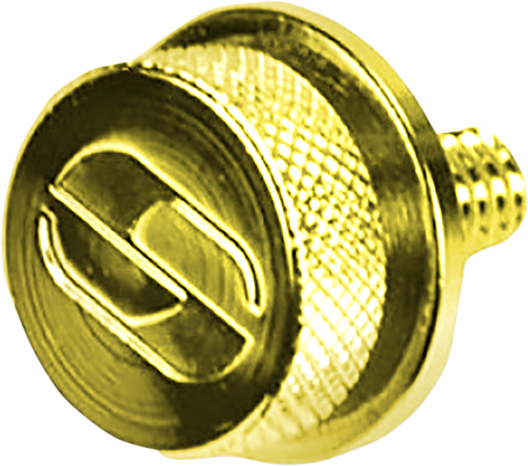 Saddlemen Sadelskruv 1/4"-20 till H-D, Guld