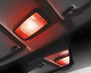 PLASTIC Tint Spray, red