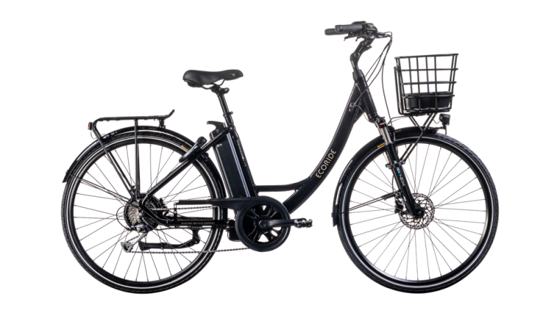 Ecoride Ambassador X AXS H-9 Rear 28