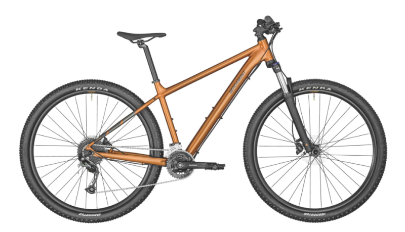 Bergamont Revox 4 bronze