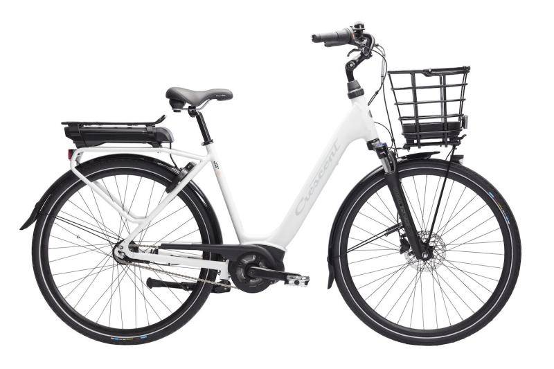 Crescent Elvira 7vxl 2023 (55cm)