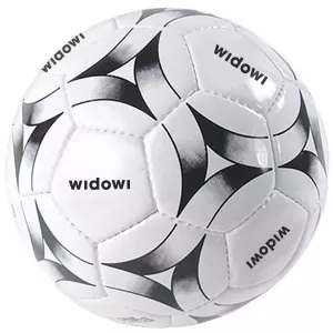 Hybridfotboll