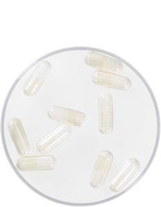 Foam Capsules, White
