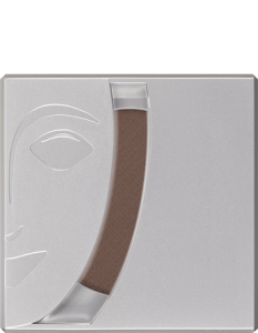 Eyebrow Powder ASH BROWN