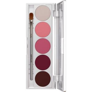Eye Shadow Shades 5 Colors Abu Dhabi