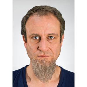 Goatee Grey