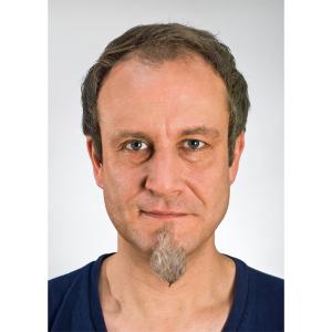 Goatee Grey