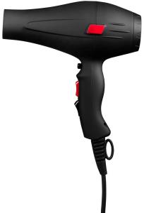Cera Pro dryer 2000ION