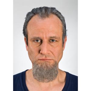 Chinbeard Salt N Pepper