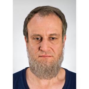 Full beard Grey