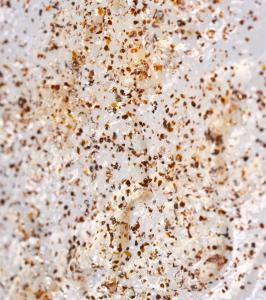Exfolierande ansiktsrengöringsgelé