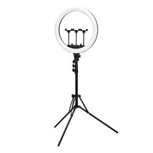 Ring Light LED 18" med stativ