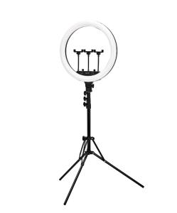Ring Light LED 18" med stativ