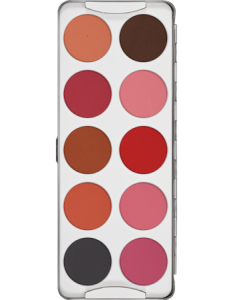 Dry Rouge Palette 10 colors